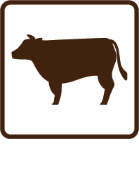 牛肉