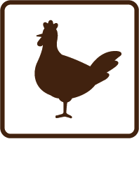 鶏肉